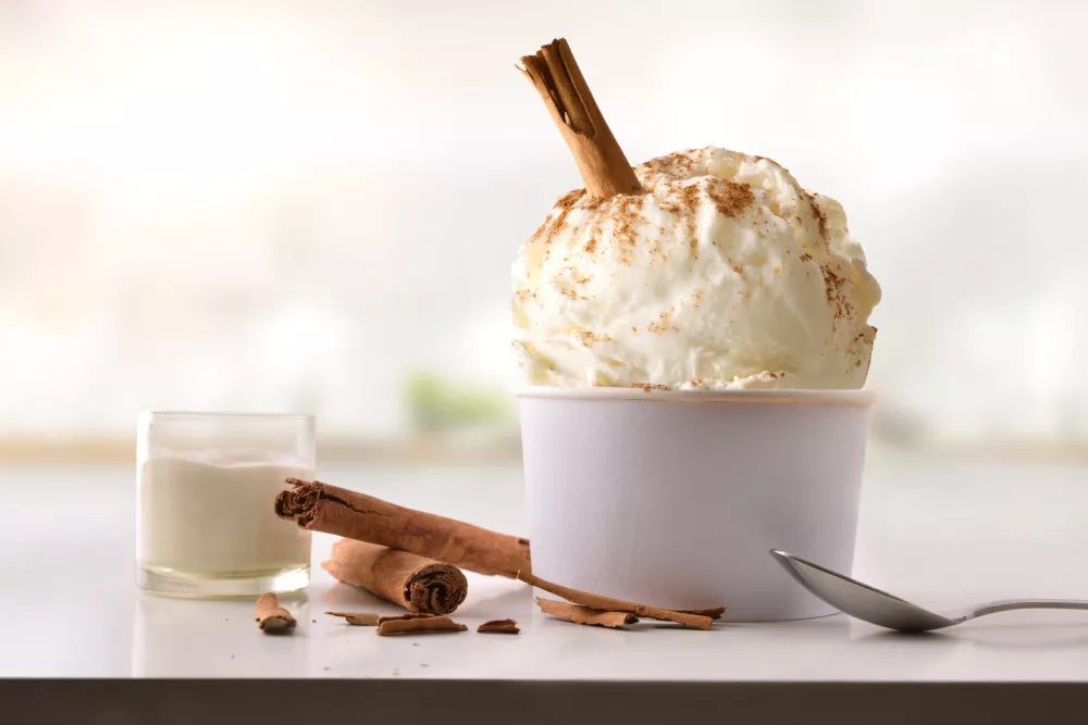 Cinnamon ice cream cup on white table homemade with kitchen background. Horizontal composition. Front view. / Foto: Davizro