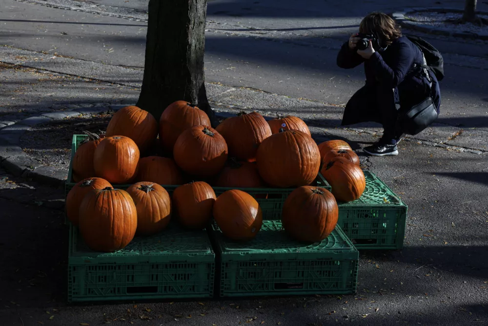 - 24.10.2025 - reportaža jesen, Ljubljana//FOTO: Jaka Gasar