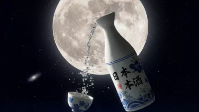 Ilustracija sakeja v vesolju. / Foto: Google Gemini