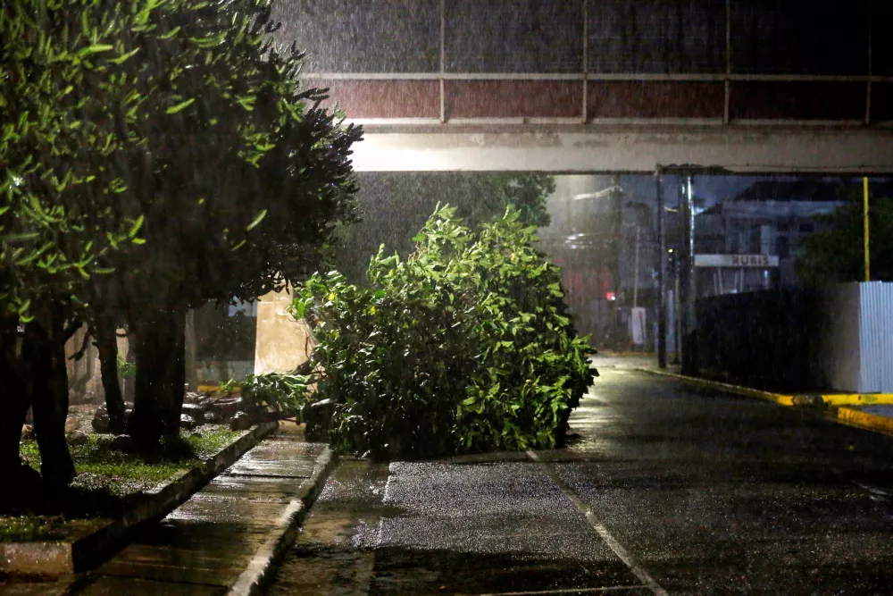 A fallen tree lies on a street while it rains, as Hurricane Melissa approaches, in Kingston, Jamaica, October 27, 2025. REUTERS/Octavio Jones