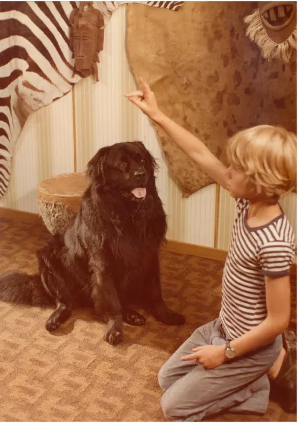 Sreča na vrvici / Foto: Viba Film