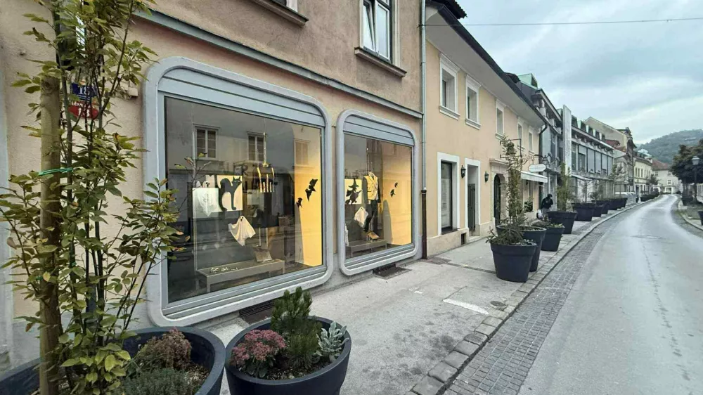 Namesto avtomobilov cvetlični lonci