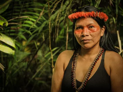 b jhb fjab fjhsf jb fjlab fjlgajl asg fjagj / Foto: Nico-kingman