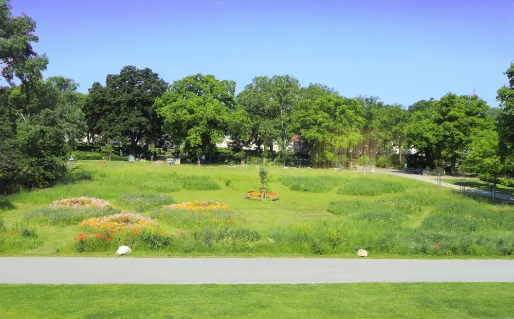 Foto: Friedh&ouml;fe Wien