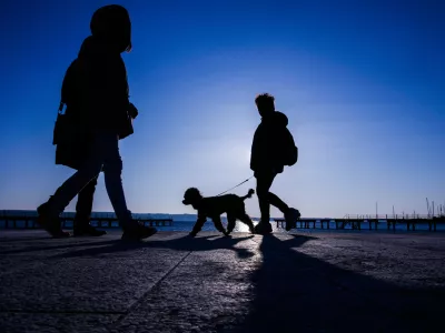 ﻿Sprehod s psom, pes, Portorožfoto: Bojan Velikonja