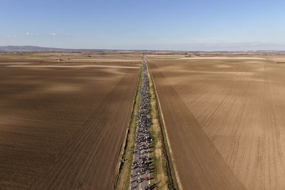 An aerial view of students marching through the fields in northern Serbia, as they go to Novi Sad for a huge rally on Nov. 1 marking the first anniversary of a train station disaster that killed 16 people, in Indjija, Serbia, Friday, Oct. 31, 2025. (AP Photo/Armin Durgut)