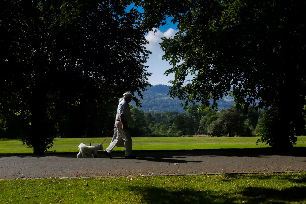 simbolična fotografija, park, upokojenec, pes, sprehod&Scaron;kotska, Glasgowfoto: Bojan Velikonja