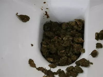 Ženska se je skušala drog znebiti tako, da jih je vrgla v straniščno školjko. 