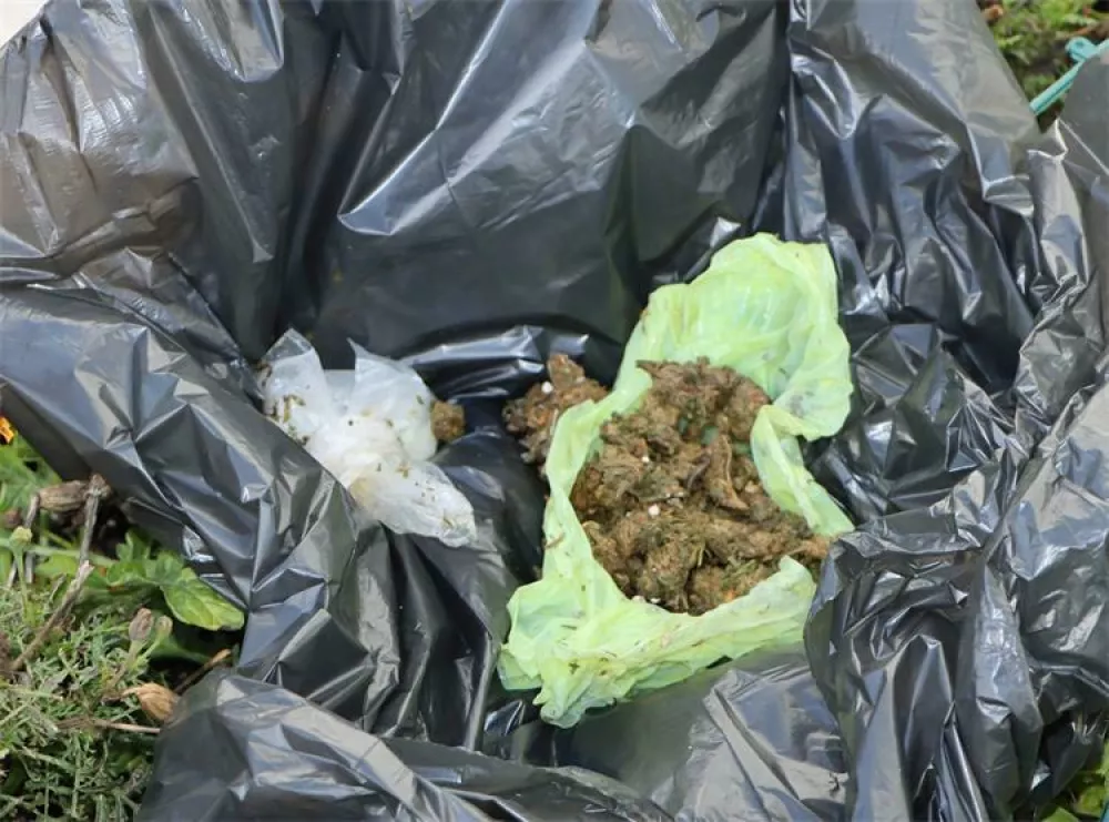 Hi&scaron;na preiskava in zaseg droge. 