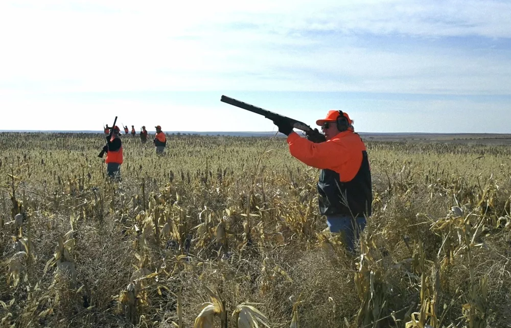 U.S. Vice President Dick Cheney hunts pheasant in South Dakota in this November 5, 2002 file photo. The Texas lawyer accidentally shot by Cheney during a weekend quail hunt suffered a minor heart attack on February 14, 2006 when some of the birdshot still in his body lodged near his heart, a hospital spokesman said. EDITORIAL USE ONLY    REUTERS/David Bohrer/White House/Handout
