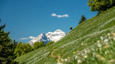 karavanke narcise gore / Foto: Gregaerzen