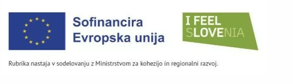 Ustanova z imenom Prešernove muze: prva negovalna bolnišnica na Dolenjskem