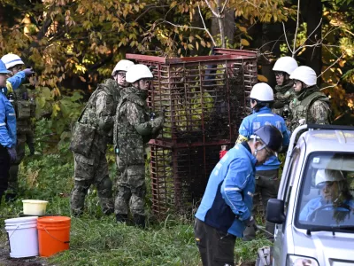 Japan Ground Self-Defense Force members and others set up a box trap to capture bears in Kazuno, Akita prefecture, northern Japan Wednesday, Nov. 5, 2025. (Muneyoshi Someya/Kyodo News via AP)