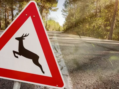 Slika je simbolična. / Foto: iStock