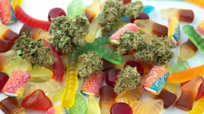 Dried medical marijuana buds lie among gummies of various shapes and flavors. On a cold white background