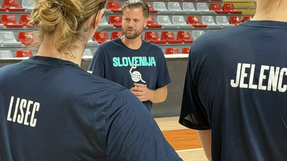 David Gaspar, Slovenija