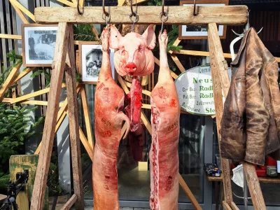 Izmera prašiča v novi preobleki: Koline kot kulinarični spektakel