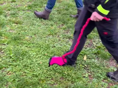 Nem&scaron;ka pasja trenerka Barbara Gerlinger je ustvarila trend &raquo;Hobby Dogging&laquo; &ndash; sprehajanje in &scaron;olanje nami&scaron;ljenih psov, ki naj bi izbolj&scaron;alo zbranost in samozavedanje vodnika. Foto: posnetek zaslona/Instagram