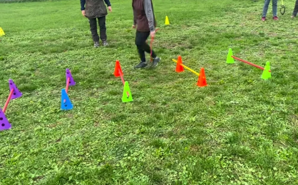 Vadeči, ki obiskujejo Hobby Dogging program vadijo med stožci in ovirami. Foto: posnetek zaslona/Instagram
