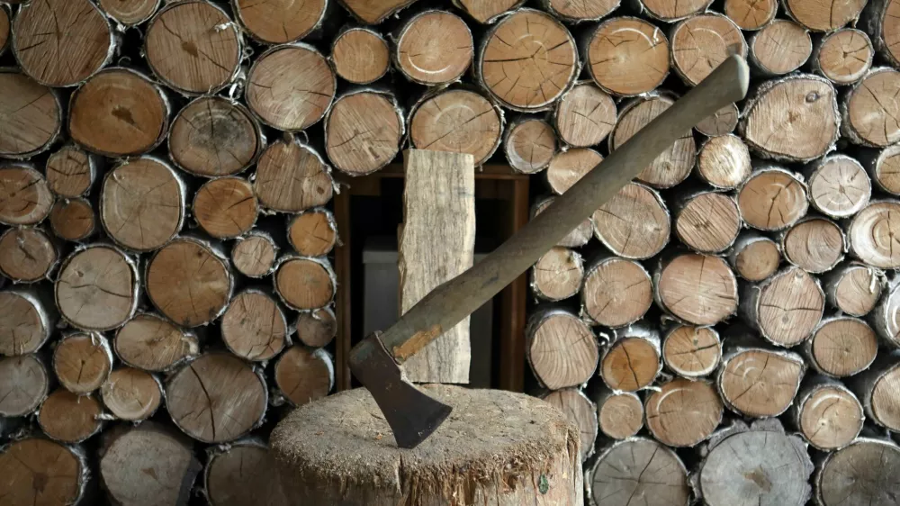 - 08.09.2022 – simbolična fotografija - ogrevanje – kurjava – - drva – polena – sekanci - les - sekira - panj za sekanje//FOTO: Tomaž Skale