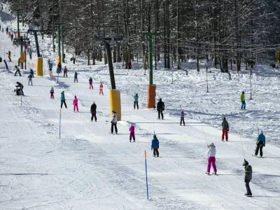 - 26.1.2019 - Kranjska gora - smu?i??e, smu?anje, smu?arji, sneg, zima, rekreacija, vle?nicaFOTO: Matja? Ru?t / Foto: Matja? Ru?t