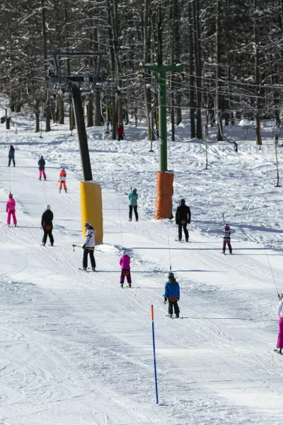 - 26.1.2019 - Kranjska gora - smu?i??e, smu?anje, smu?arji, sneg, zima, rekreacija, vle?nicaFOTO: Matja? Ru?t / Foto: Matja? Ru?t