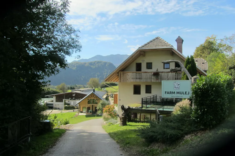 Na kmetiji Mulej nudijo veliko vrst mlečnih in mesnih izdelkov, med drugim tudi blejski ementaler in su&scaron;eno govedino, mi pa smo spoznali kako v praksi izgleda filozofija kmeta po načelu"srečna krava, srečen kmet". Turizem dominira razgled na hlev.