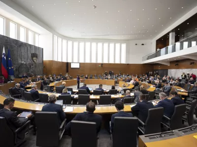 Ljubljana, DZ.Izredna seja DZ, na kateri so obravnavali predlog priporocila vladi v zvezi z ukrepi za preprecitev kriminala na obmocju jugovzhodne Slovenije in Posavja ter za trajno resevanje romske problematike in predlog priporocila v zvezi z zagotavljanjem varnosti in ucinkovitosti pravosodnega sistema na obmocjih z zaostrenimi varnostnimi tveganji v jugovzhodni Sloveniji.