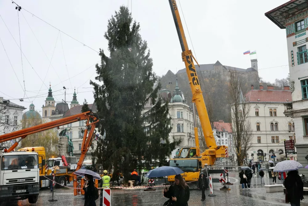 Postavitev smreke so si ogledali &scaron;tevilni mimoidoči. Foto: Jaka Gasar