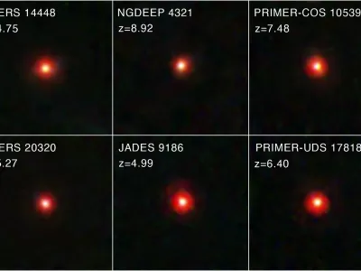 Soon after the start of the NASA/ESA/CSA James Webb Space Telescope's science operations, astronomers noticed something unexpected in the data: red objects that appear small on the sky, located in the distant, young universe. Come to be known as "little red dots" (LRDs), this intriguing class of objects is not well understood at present, sparking new questions and prompting new theories about the processes that occurred in the early universe. A team of astronomers sifted through James Webb Space Telescope data from multiple surveys to compile one of the largest samples of "little red dots" (LRDs) to date. The team started with the Cosmic Evolution Early Release Science (CEERS) survey before widening their scope to other extragalactic legacy fields, including the JWST Advanced Deep Extragalactic Survey (JADES) and the Next Generation Deep Extragalactic Exploratory Public (NGDEEP) survey. From their sample, they found that these mysterious red objects that appear small on the sky emerge in large numbers around 600 million years after the big bang and undergo a rapid decline in quantity around 1.5 billion years after the big bang. Spectroscopic data of some of the LRDs in their sample, provided by the Red Unknowns: Bright Infrared Extragalactic Survey (RUBIES), suggests that many are accreting black holes. However, further study of these intriguing objects is required. [Image description: Six Webb images of little red dots are combined in a two-row mosaic. Each little red dot is centered within a square frame and lies against the black background of space. Each dot has a yellow-white circular core surrounded by a red, fuzzy ring. White text in the top left corner of each box lists the source's name from the Webb surveys, and its redshift. From left to right, the top row reads CEERS 14448, z = 4.75; NGDEEP 4321, z = 8.92; and PRIMER-COS 10539, z = 7.48. The bottom row reads CEERS 20320, z = 5.27; JADES 9186, z = 4.99; and PRIMER-UDS 17818, z = 6.40.]