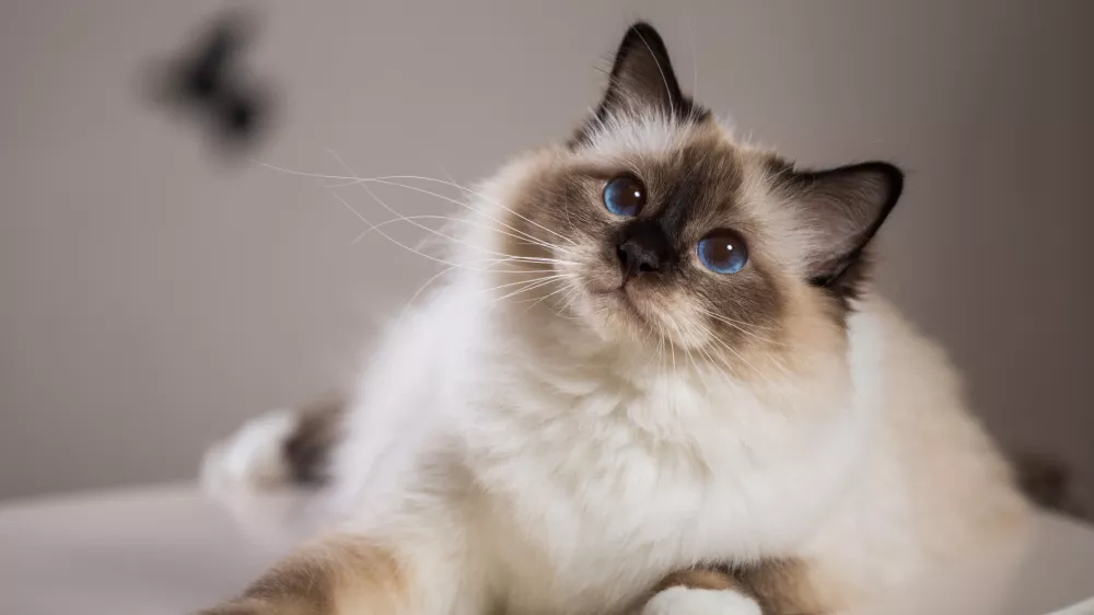 Kaj ni lepa? / Foto: Istock