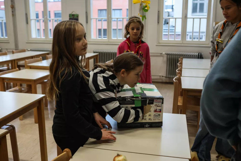 - 22.11.2025. - Srečanje medvedkov in čebelic. Delavnice za otroke Mestne Zveze Tabornikov na O&Scaron; Vič v Ljubljani.//FOTO: Bojan Velikonja