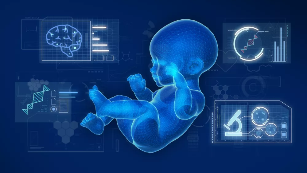 Wire frame of the model of the baby with graphics research on blue screen.3D rendering.