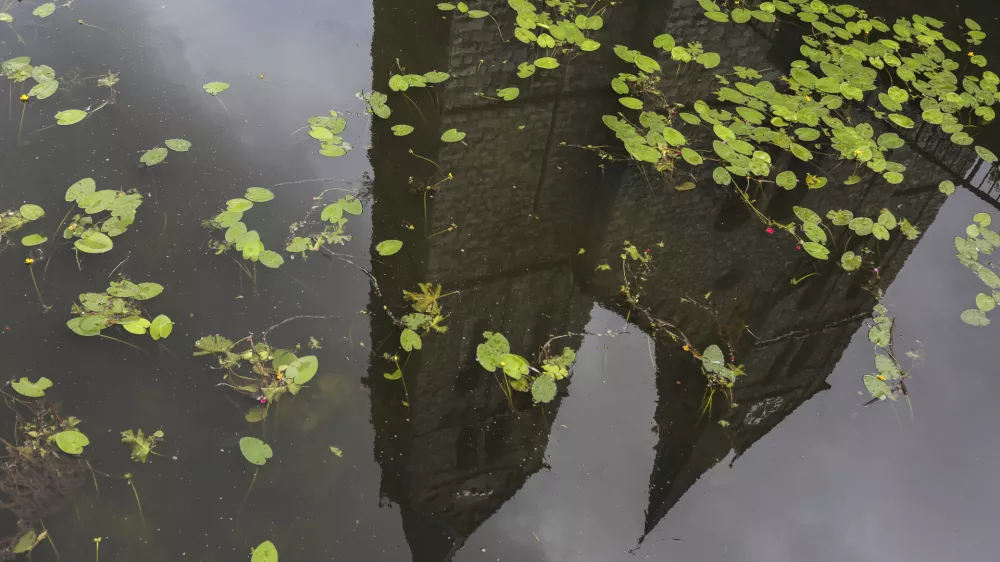 - simbolična fotografija - cerkev - reka Rinža - 29.07.2019 &ndash; Občina Kočevje - obisk pri županu za rubriko župani zasebno //FOTO: Jaka Gasar / Foto: Jaka Gasar
