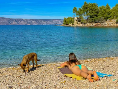 Pretty lady is sunbathing and her cute dog is exploring gorgeous pebble beach. Young woman is on summer holidays with her brown puppy and they are enjoying sunny days on pebble shore by the blue sea.