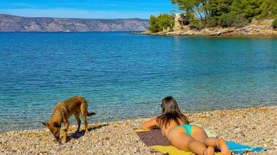 Pretty lady is sunbathing and her cute dog is exploring gorgeous pebble beach. Young woman is on summer holidays with her brown puppy and they are enjoying sunny days on pebble shore by the blue sea.