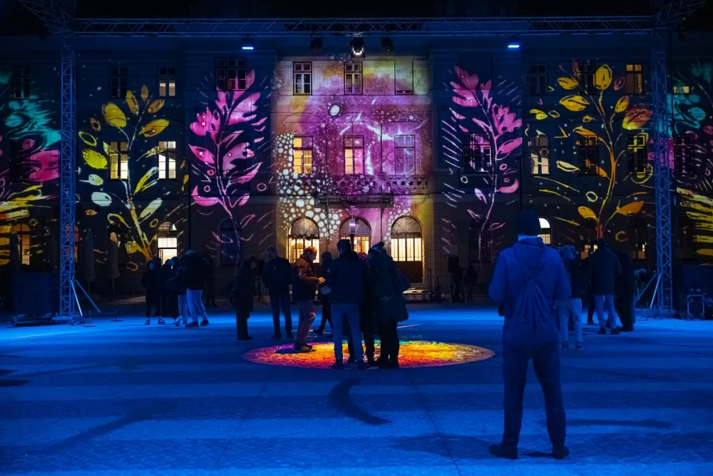 Lučke v Novi Gorici, december 2025 / Foto: Jernej Humar