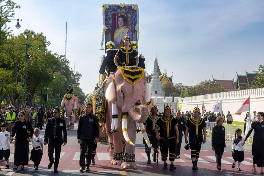 Elephant riders lead a procession of white elephants to pay respect late Queen Mother Sirikit along the Grand Palace in Bangkok, Thailand, Thursday, Nov. 27, 2025. (AP Photo/Wason Wanitchakorn)
