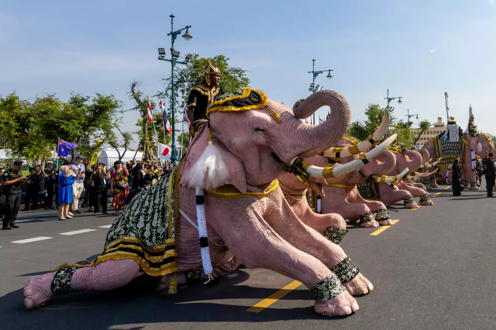 Elephant riders lead a procession of white elephants to pay respect late Queen Mother Sirikit along the Grand Palace in Bangkok, Thailand, Thursday, Nov. 27, 2025. (AP Photo/Wason Wanitchakorn)