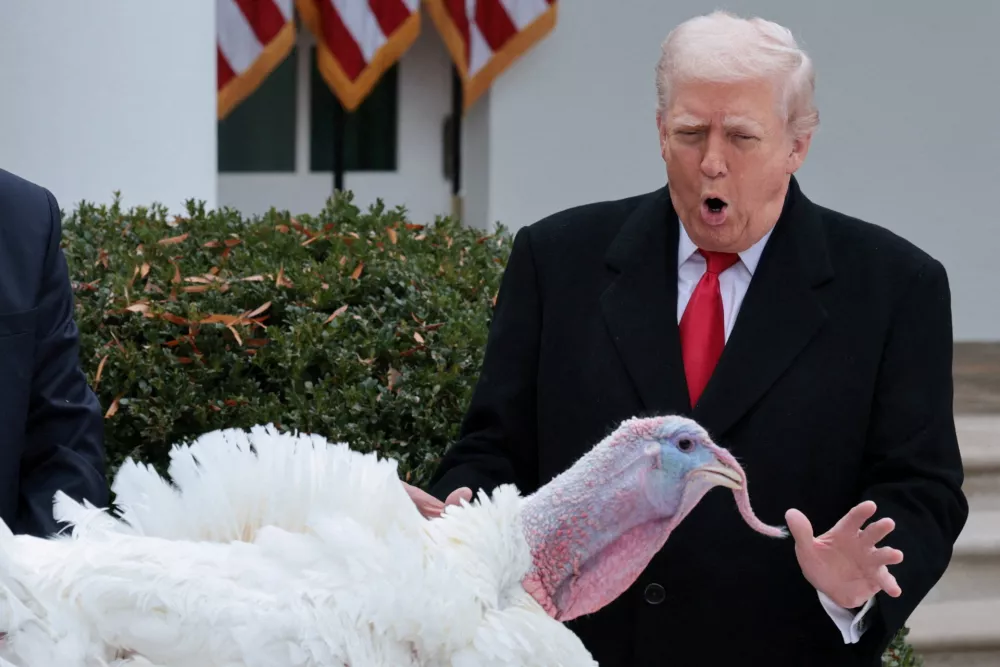 U.S. President Donald Trump looks at Gobble one of two turkeys to be ceremonially pardoned for Thanksgiving in the Rose Garden at the White House in Washington, D.C., U.S., November 25, 2025. REUTERS/Jonathan Ernst