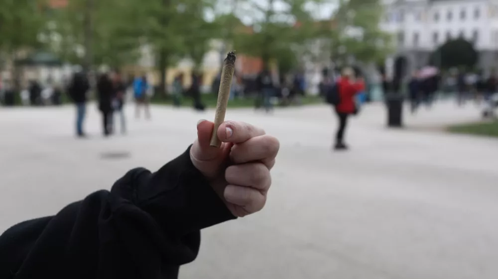 Bo koalicija po dveh referendumskih porazih tvegala še s konopljo?