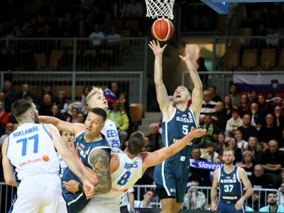 Žiga Samar, Slovenija, Estonija