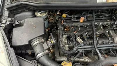 Ali na sliki najdete mačko? / Foto: Feuerwehr Augsburg