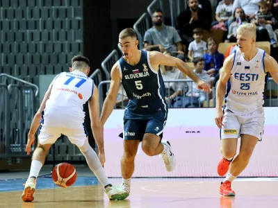 Žiga Samar, Slovenija, Estonija