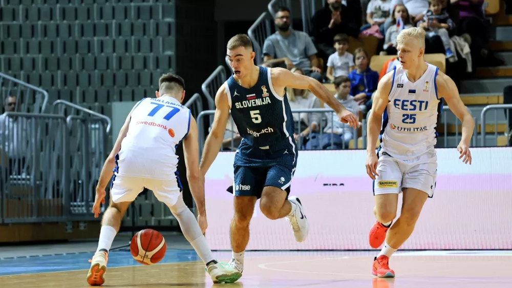 Žiga Samar, Slovenija, Estonija