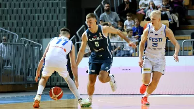 Žiga Samar, Slovenija, Estonija