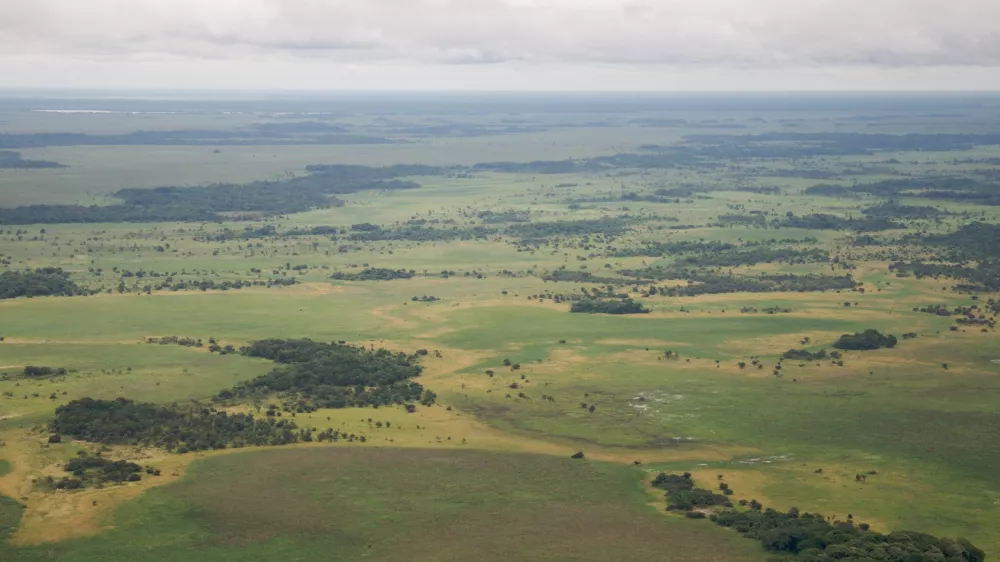 Llanos de Moxos / Foto: Samuel M Beebe/wikipedia