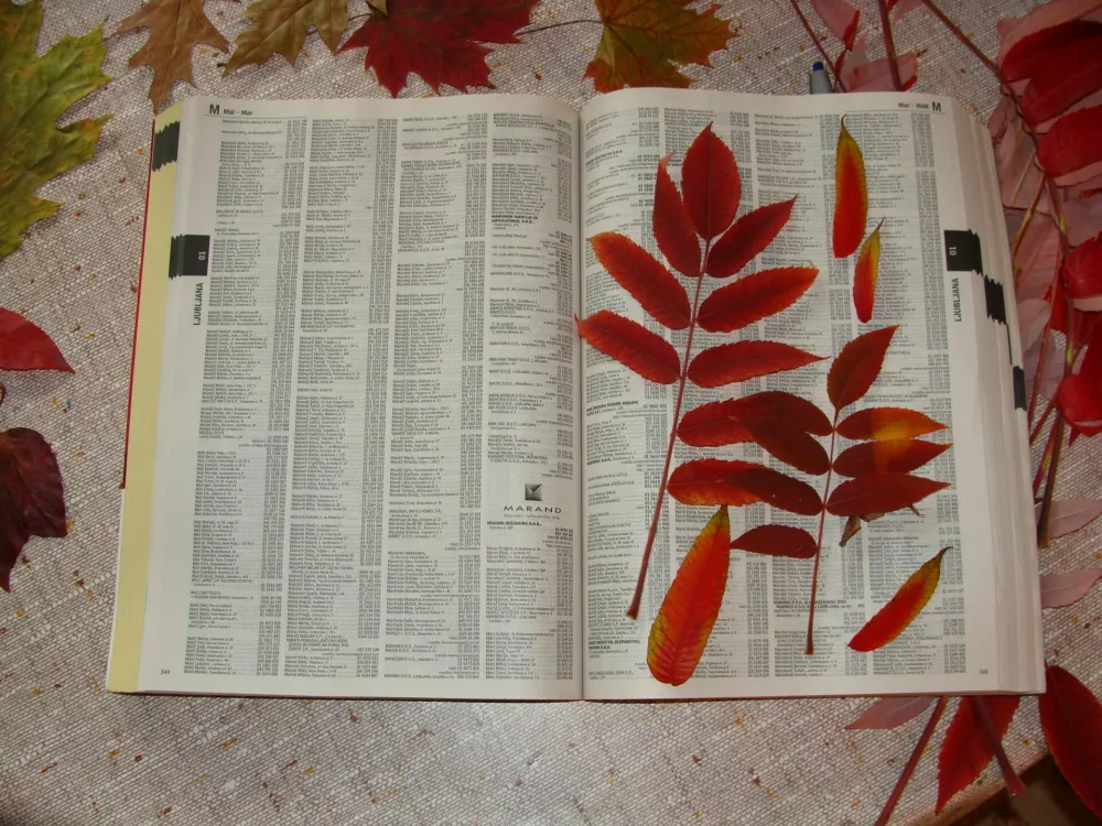 Bil je imeniten za stiskanje listja. / Foto: Dokumentacija