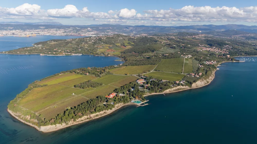 Ankaran, polotok med zalivoma Valdoltra in sv. Jernej, Krajinski park Debeli rtič, varovano območje, slovenska obala