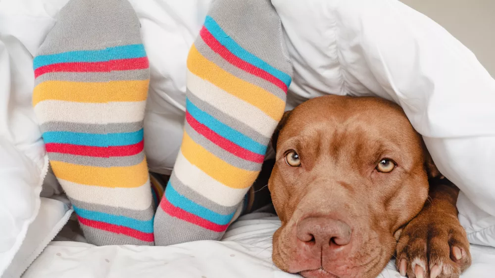 Se tudi vi pozimi spopadate z mrzlimi nogami? Foto: iStock